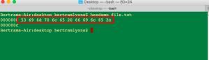 file.txt | hexadecimal view of the 12 bytes of the file