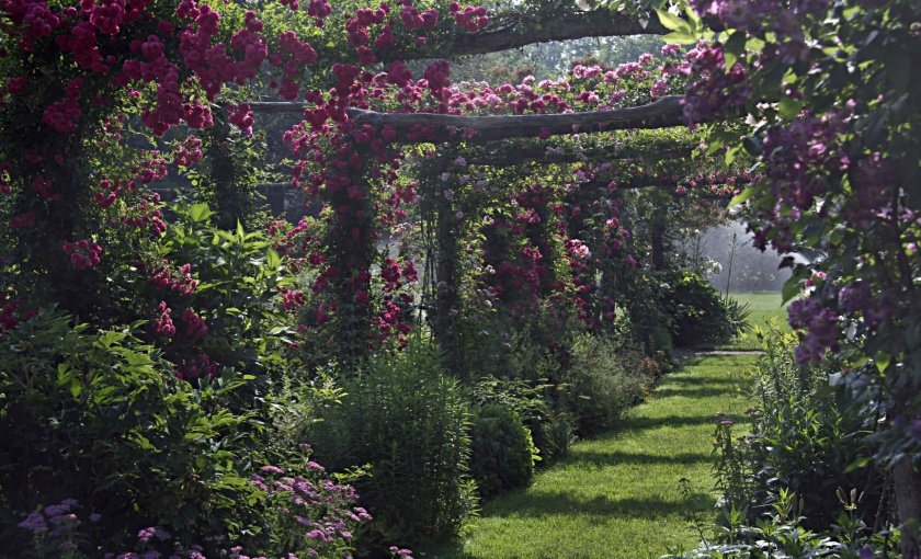 capen-garden-rose-arbor-06-26-07-pamela-dods