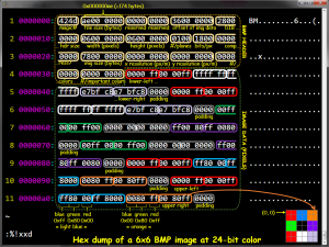 Excerpt of BMP file seen through hexadecimal representation of the bytes of the file. There are annotations to help you understand how certain bytes represent certain information (all based on the BMP format specification -- the recipe.). Borrowed from URL: https://engineering.purdue.edu/ece264/15au/hwimages. 