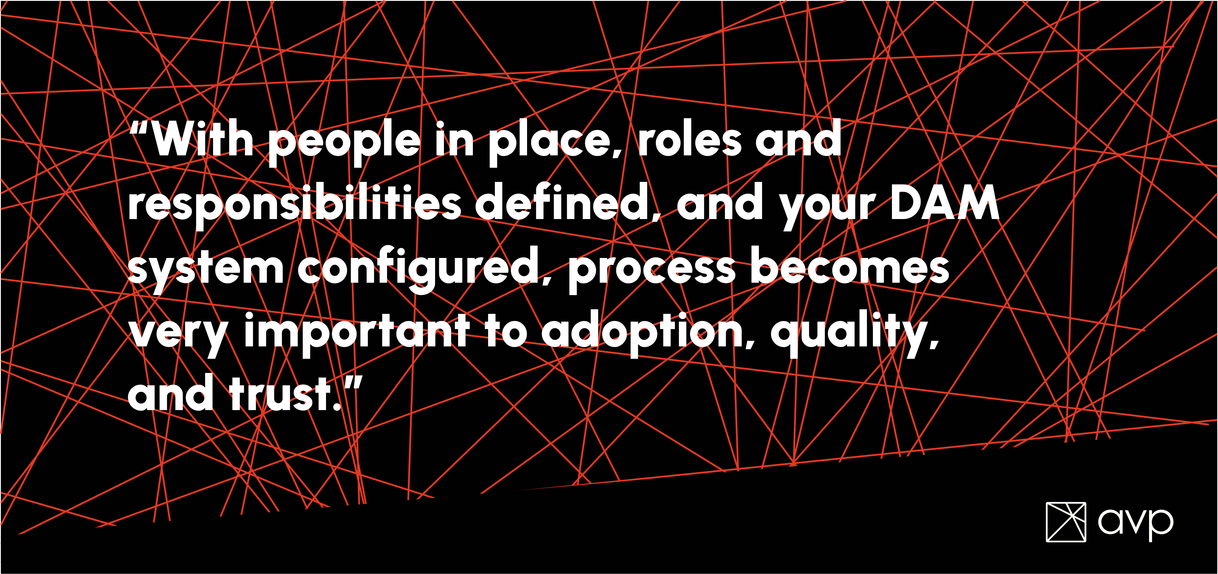 Quote 
"With people in place, roles and responsibilities defined, and your DAM system configured, process becomes very important to adoption, quality, and trust."

-avp logo