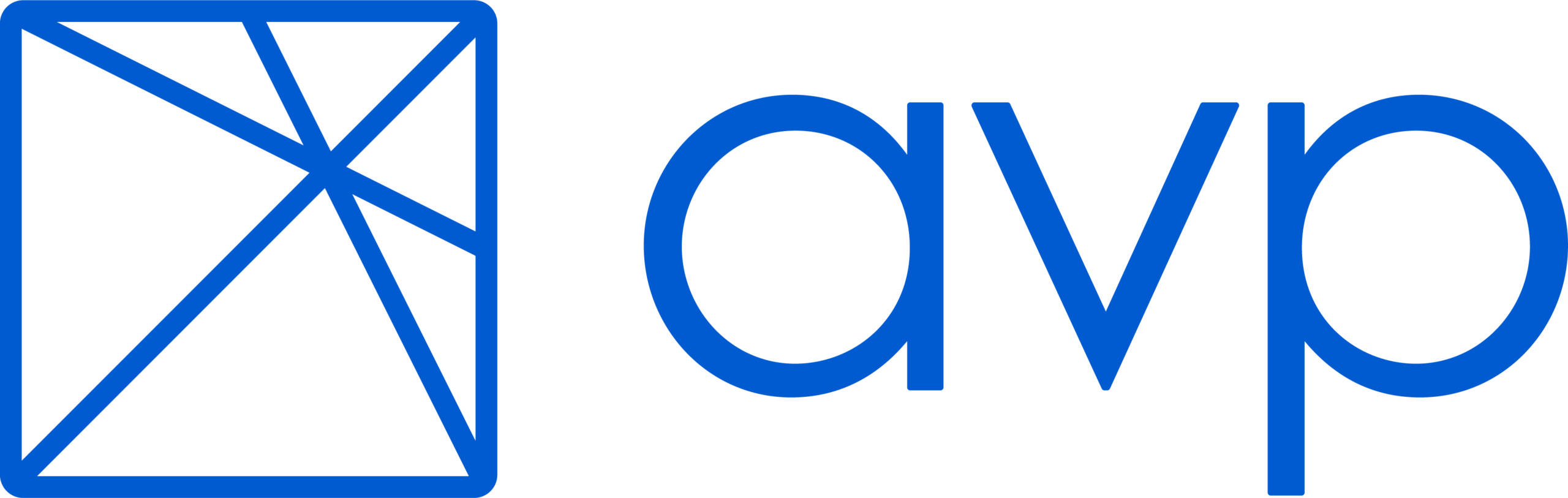 AVP Logo